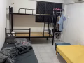 男单人床、上铺出租