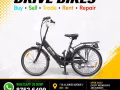 Zebra Model 3 电动车