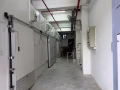 新加坡冷庫出租