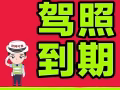 代办 国内驾照到期 更新业务