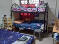 $500! 男搭房大牌15 座 直落布兰雅出租!