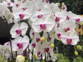 居家定期清洁打扫