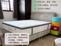 主人房出租