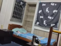 巴西立大牌572