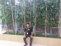 專業治療頸椎疼痛，肩周炎，風濕病，
