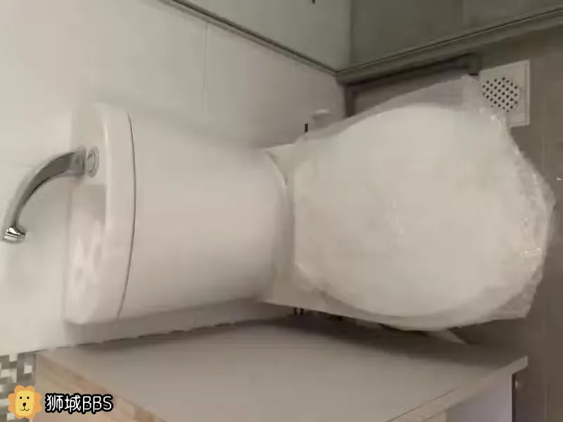 新房装修未使用全新 脸盆 马桶便宜出售 新加坡二手家具 狮城bbs